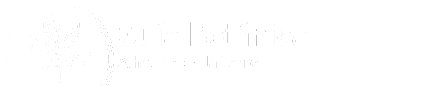 Guía-Botánica2